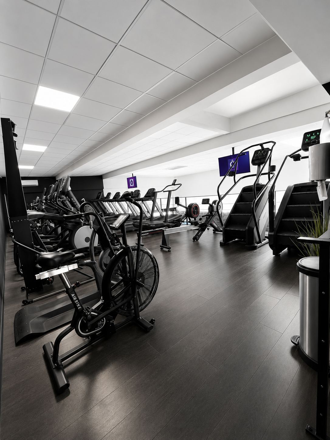 Espace cardio Track Fitness